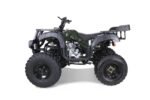 Taotao 250 Rhino Adult Utility ATV - Image 8