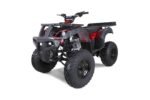 Taotao 250 Rhino Adult Utility ATV - Image 7