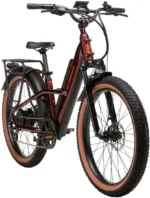 Rad Power Bikes Radster Trail Electric Off-Road Bike - Image 7