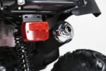 Taotao 250 Rhino Adult Utility ATV - Image 3